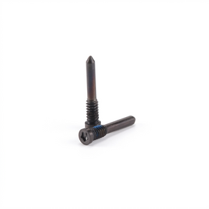 iPhone X Botton Screws Black