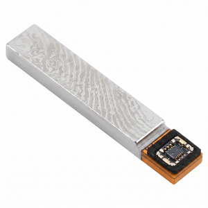 iPhone 12/12 Pro 5G mmWave Antenna Module