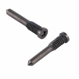 iPhone 12 Mini Botton Screws (2 pcs) - Black