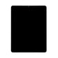 iPad Pro 12.9 5th Generation 2021 LCD Display Original