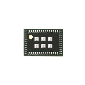 iPhone 5C Wifi IC