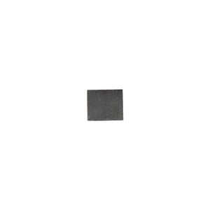 iPhone 6S/6S Plus Stora Ljud IC